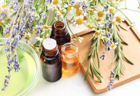 Spa and Wellness Management